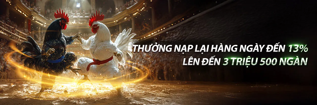 Đá gà trực tuyến SHBET5 app 2026 với những trận đấu kịch tính